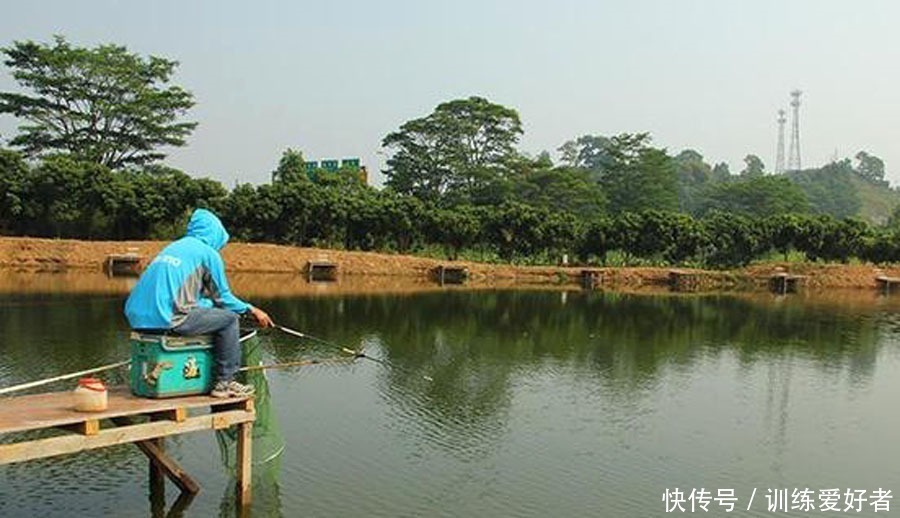钓鱼|黑坑如何解决水底“酱层”问题的我提供3种方法