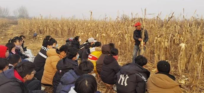  青岛|青春礼贤丨田间第四日——青岛九中高二同学学农日记