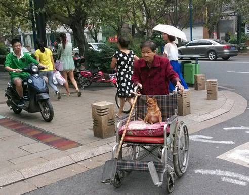 |搞笑图片幽默段子笑话蛋蛋看来不想下锅，主人就饶过它喽，哈哈