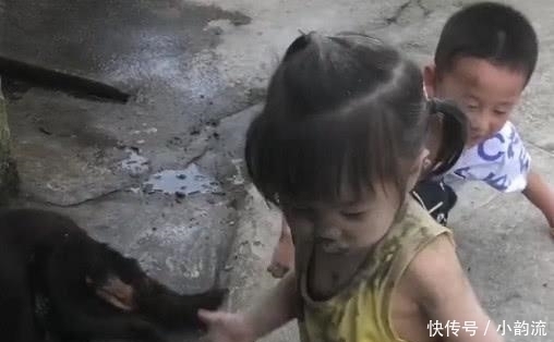 小女孩|萌娃下乡“放飞自我”火了,一旁的狗子:别看我,可不关我事!