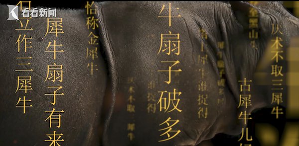 明代犀角杯|视频｜“艺见.上博”寻迹文明 | 施远