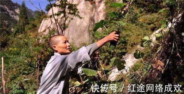 底蕴#终南山“隐士”多达上万,当真都是看破红尘?隐居之地沦为做秀场