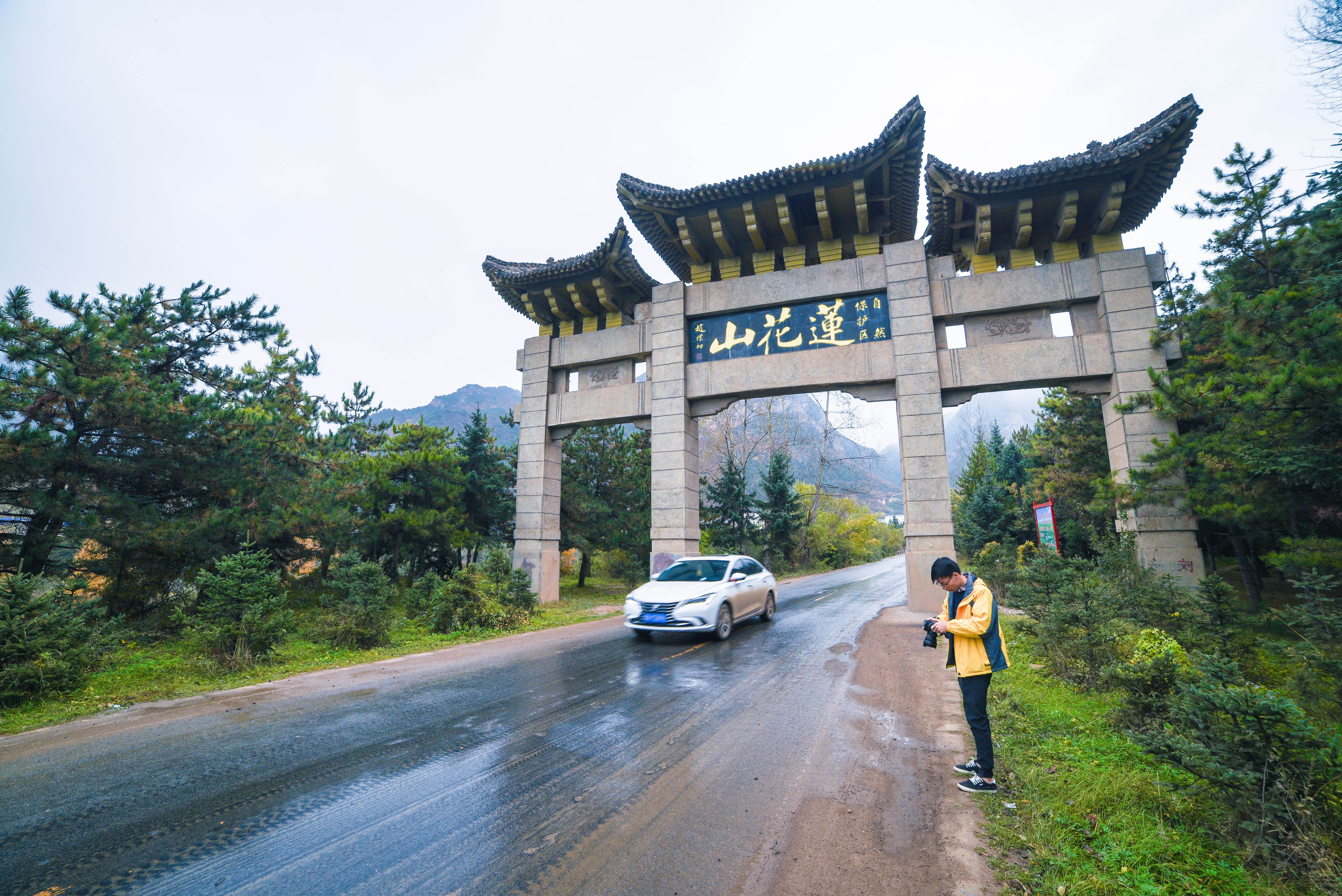 丝绸之路遇见茶马古市︱西北旱码头的青韵与莲花