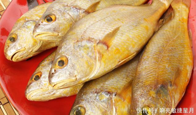 好吃|明日小雪,这3种海鱼千万别错过,价格便宜又好吃,做给家人吃吧