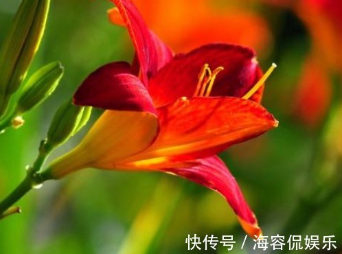 生肖|最会挑丈夫的三个生肖女,婚后生活幸福美满,一生被丈夫宠爱