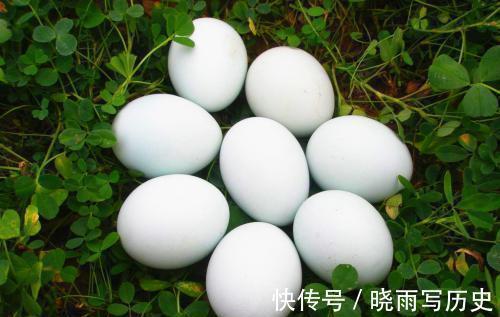 毛蛋|鸡蛋、鸭蛋、鹅蛋、鹌鹑蛋,哪种更健康?医生:这3种蛋建议少吃