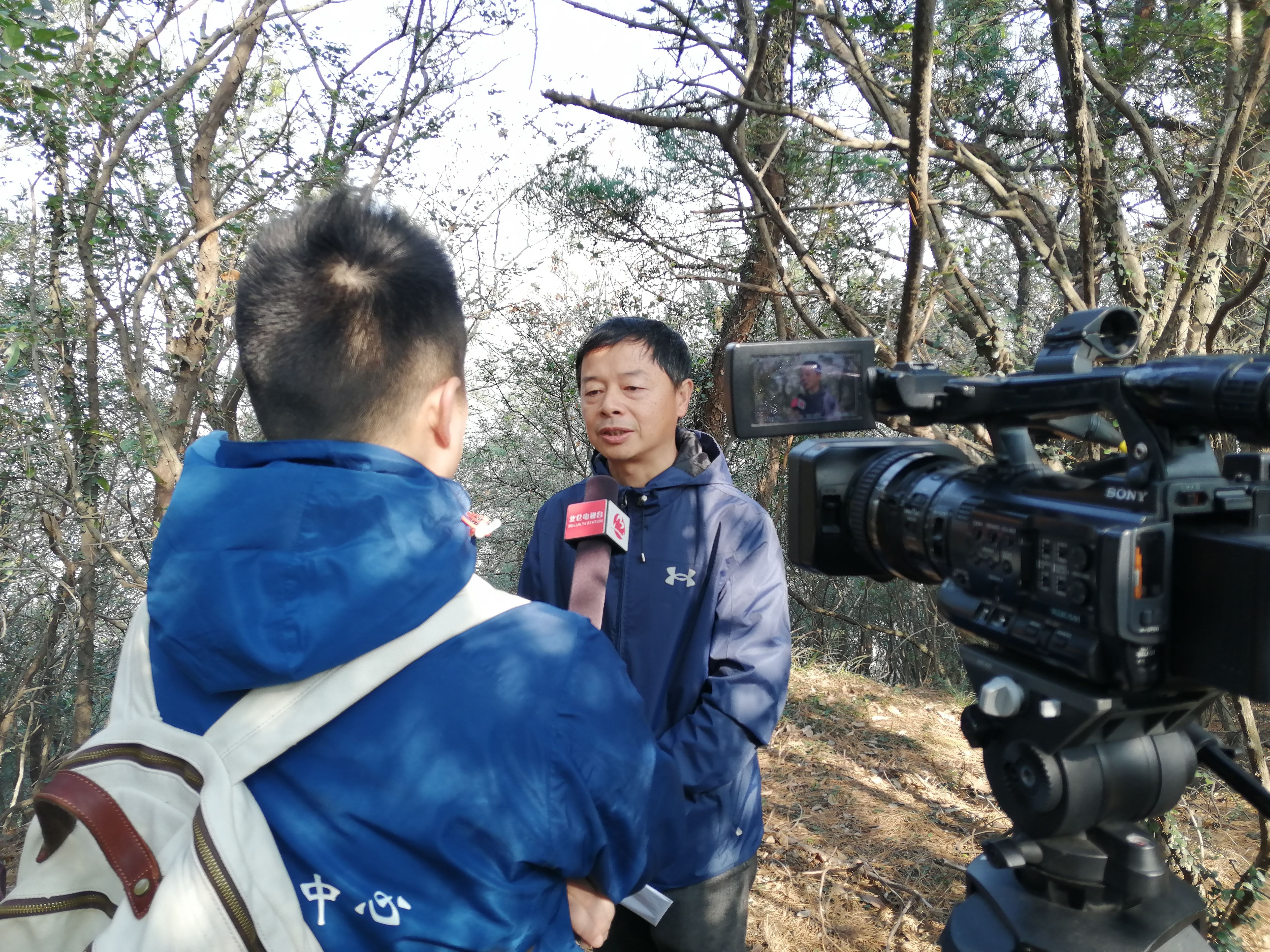 碉堡|北仑马鞍山发现抗日碉堡