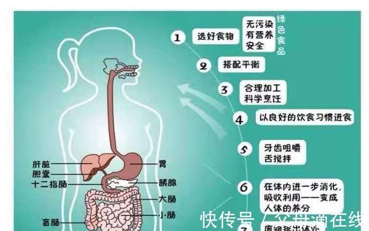 营养素|都说孕妇要注意补充营养，到底怎么补才科学有效？