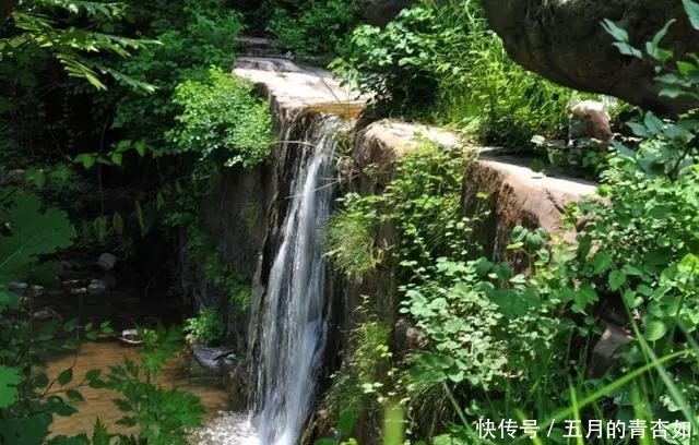 河南这个原生态景区，千瀑竞流风景秀丽，还免门票！