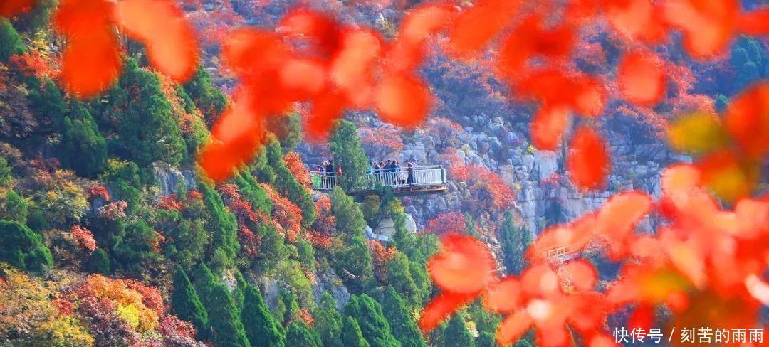 这是不是神仙居住的地方实在是太美了！