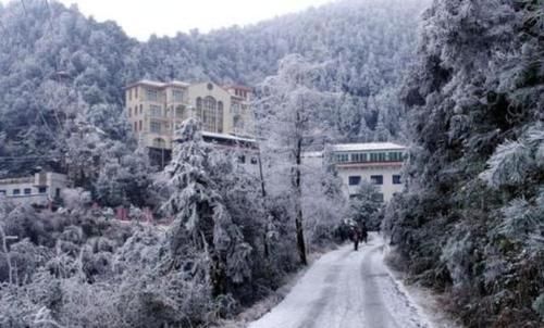 南方人在等雪，而这里没下雪却能看雪景。