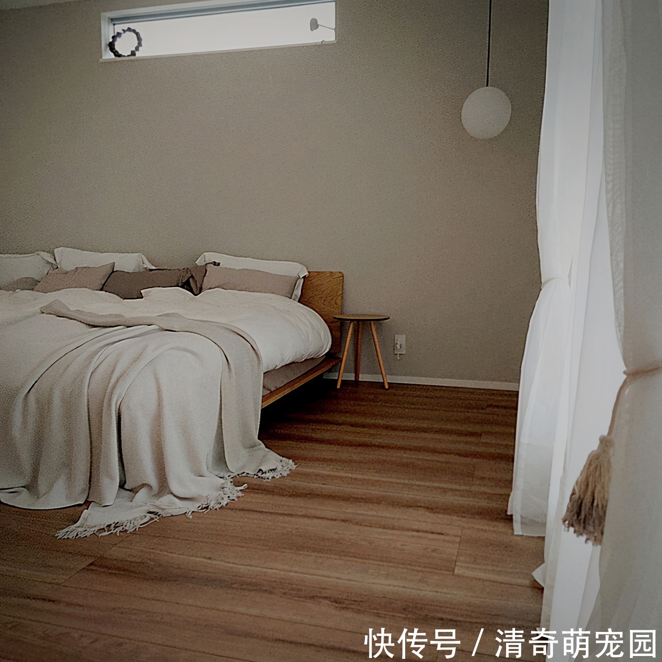 收拾|日本太太坚持一天收拾一个区域,家里整洁有序,真的很治愈