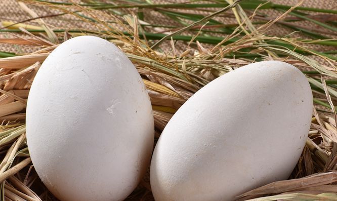 好处|对身体最好的3种食物,健脾养胃,滋补身体,好处多多