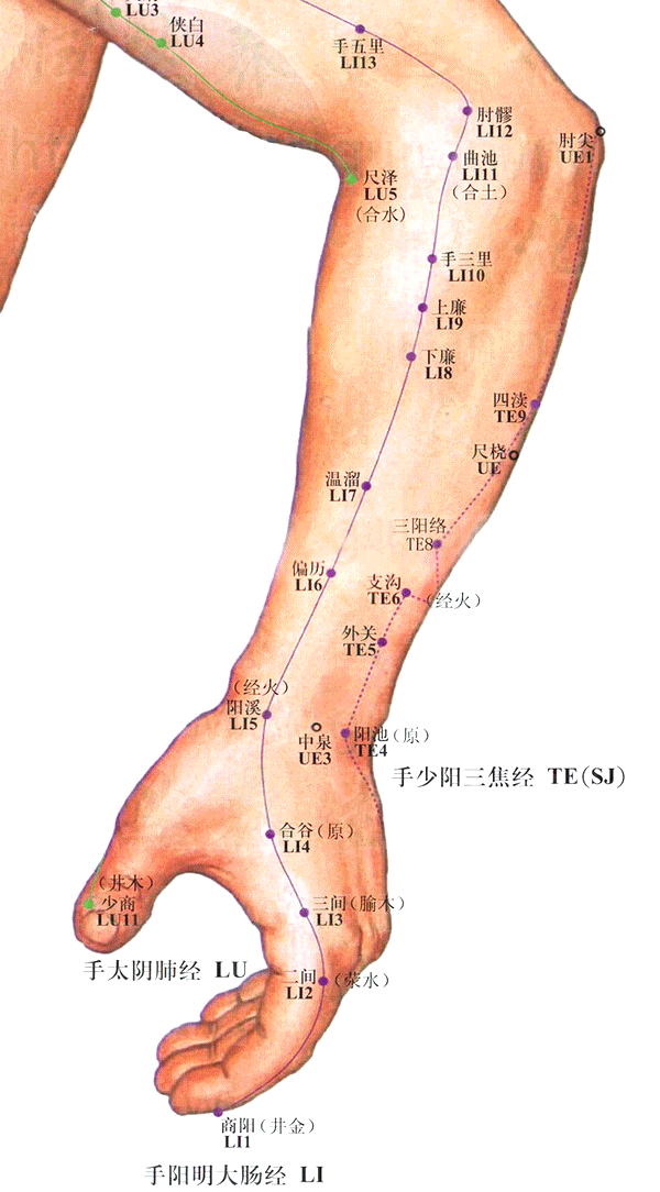 清内热|肝胆二经堵,容易“垃圾多”两个穴位来调理