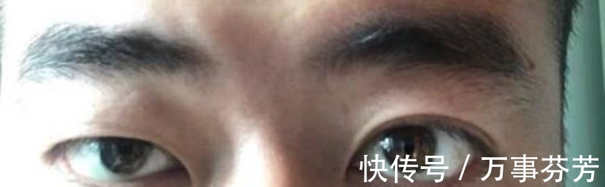 历史|重瞳、雌雄眼、鹰视狼顾,历史上这些面生异相之人