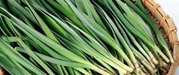 食物|女性可以多吃3种食物,排毒养颜、延缓衰老,爱吃就赚了!