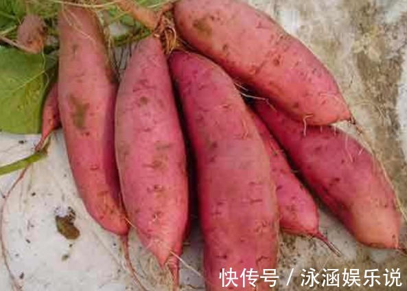 地瓜|红薯直接上锅蒸就“错了”,教你正确做法,红薯更加香甜