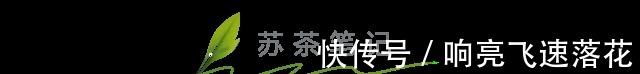 单品|这10种抹茶单品，赌你没吃全！