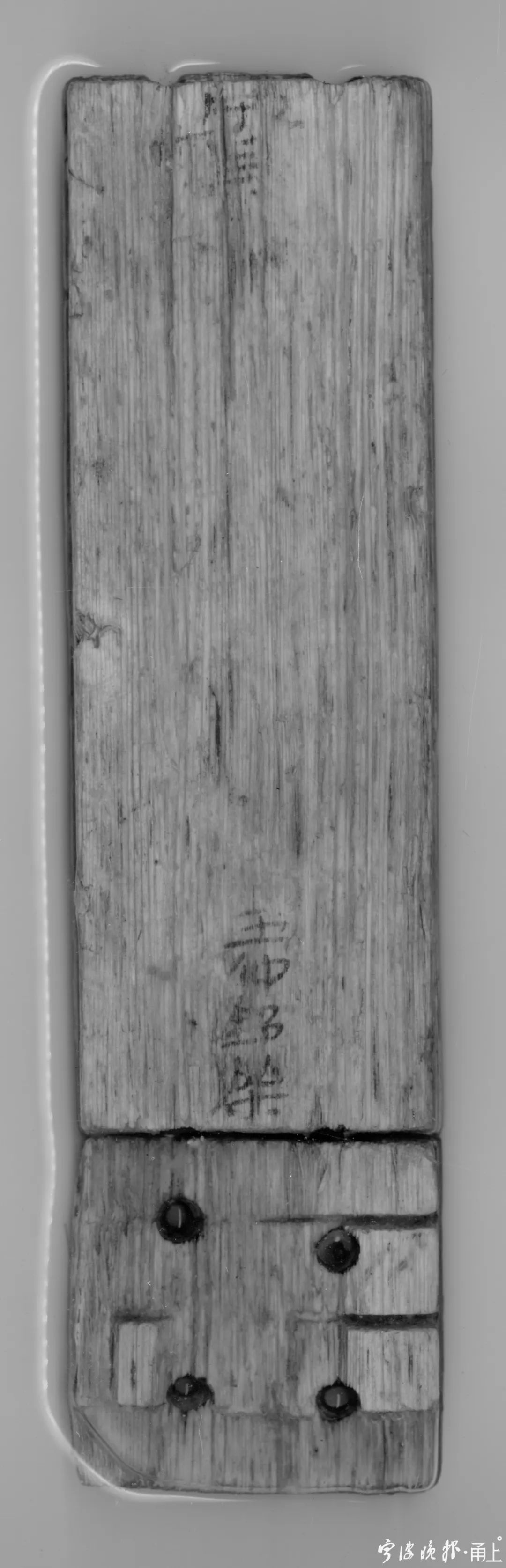  2号护岸|罕见！宁波又有重大发现！