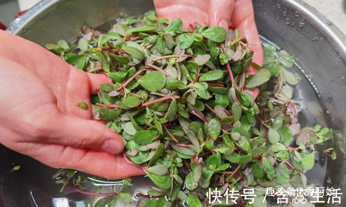 手软|夏天,碰到此菜别手软,一次囤上20斤,晒干储存起来,冬天吃特香