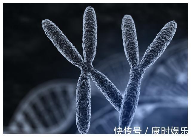 长寿|男性长寿的标志这4个特征,若你占一半以上,说明长寿跟你有缘