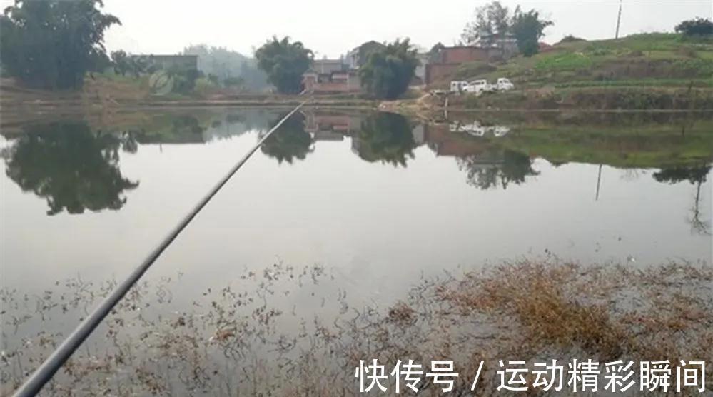 冬季钓鱼,会选窝、会用饵,连杆中鱼,真的一点都不难