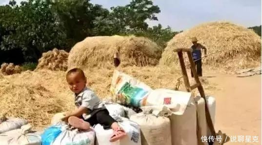 满满的|二十多年前收麦子的老照片,满满的丰收喜悦