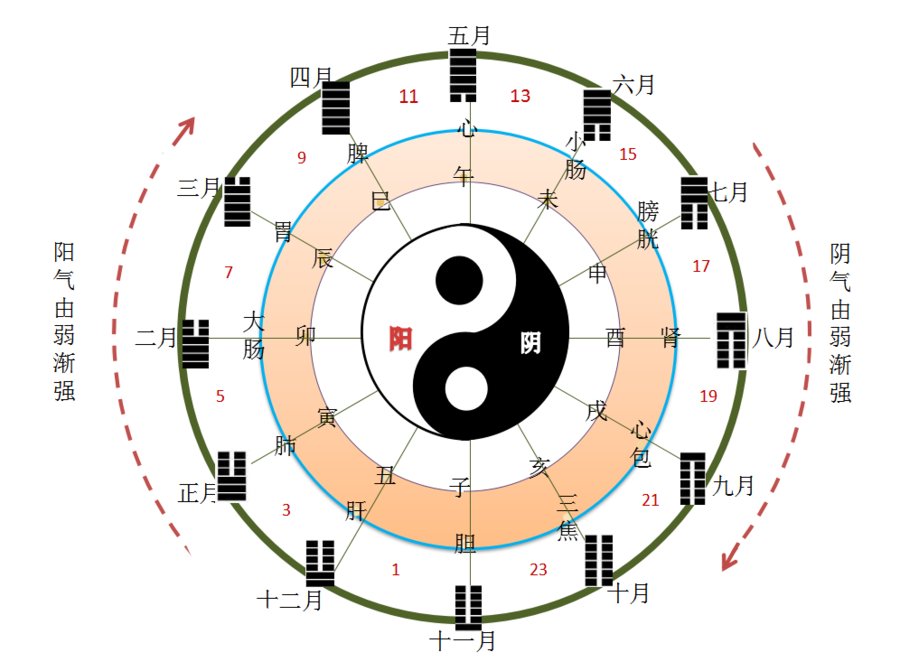 中医|疼痛定时发作，久治不愈！时间医学解您燃眉之急