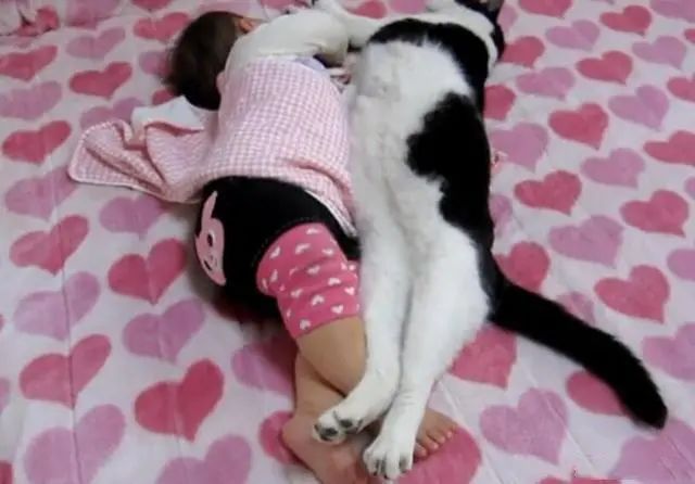 六一节快乐：宝宝一睡着，就萌翻了