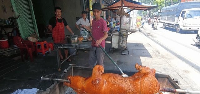 当地传统|去越南旅游吃“烤乳猪”，没忍住1200元买了一整只，切开后这是烤猪