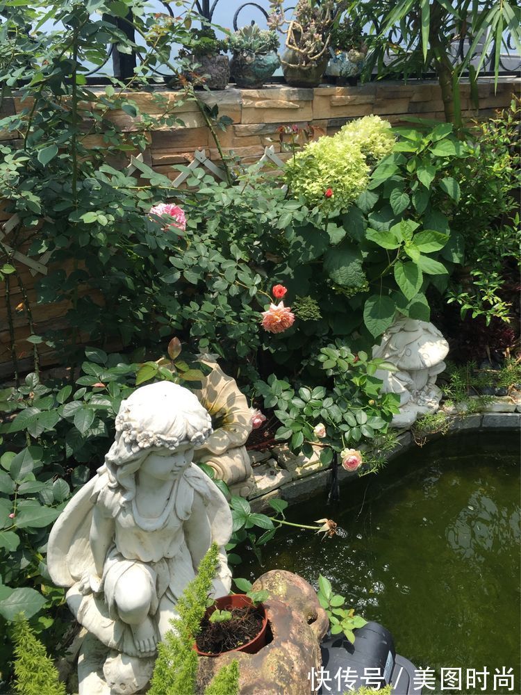 花草|历时一年，在31楼打造300㎡“屋顶花园”，如今美成了仙境