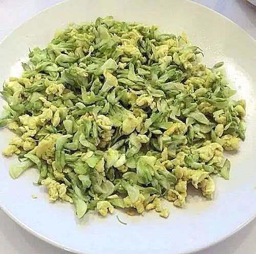 槐米|鸡蛋加此物，还是头一次，常吃眼不花了，头不晕了，血管畅通了！