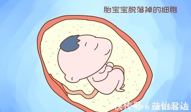 生命水|宝宝的生命水为什么叫“羊水”,而不叫“牛水”,就是水吗