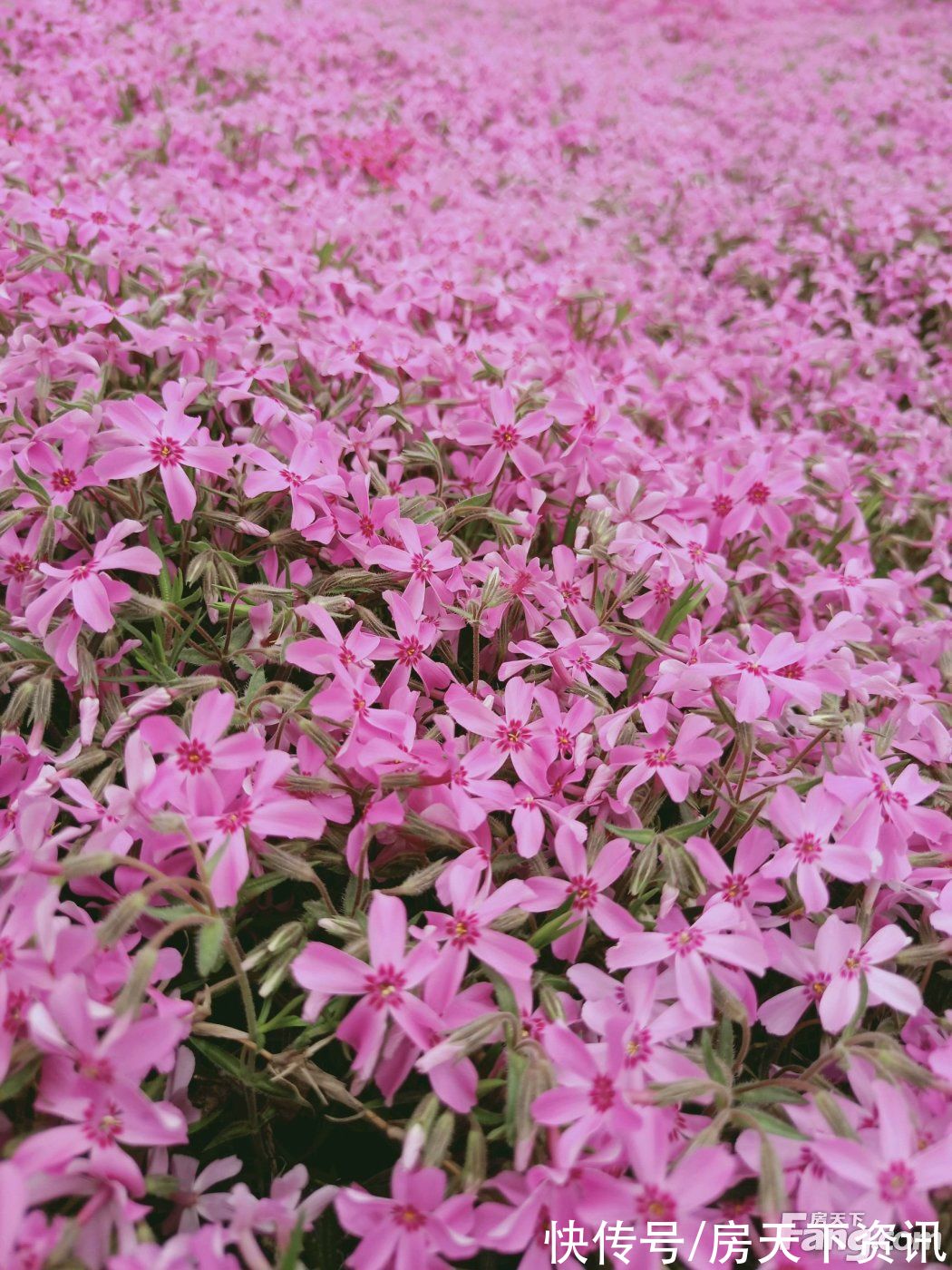 漯河|漯河源汇区热门楼盘项目现场传来一批新照片，请查收