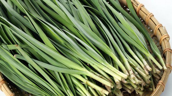 為什么說韭菜盡量少吃,這類人最好是不吃早知早受益!