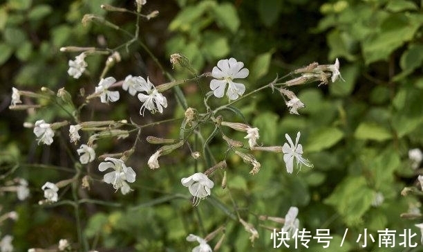 旧情难忘|2天内，旧情难忘，前缘未尽，月老助力，难舍难分，余生幸福