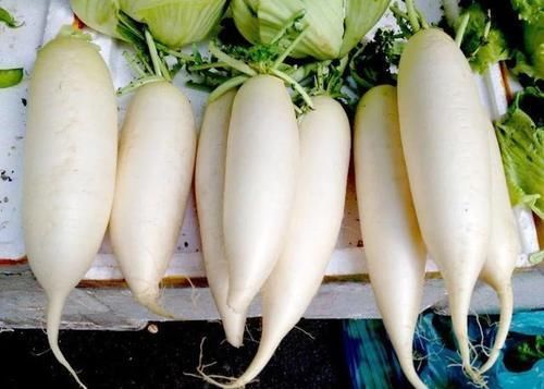 甲状腺|甲状腺结节不能吃“白萝卜”?医生:若想消散结节,4物尽量少碰