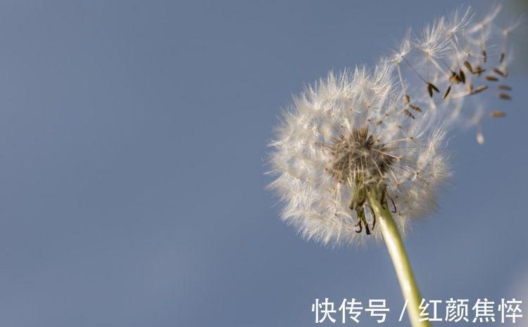 桃花朵朵开|生肖猴：7月开始，得财神庇佑，旺财旺福，好运连连