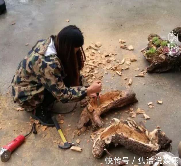 多肉遇上枯木木花盆,姑娘自己造!
