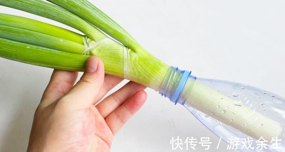 火腿肠|用塑料瓶做切葱神器,不伤手不辣眼睛,比刀切还好用,简单又方便