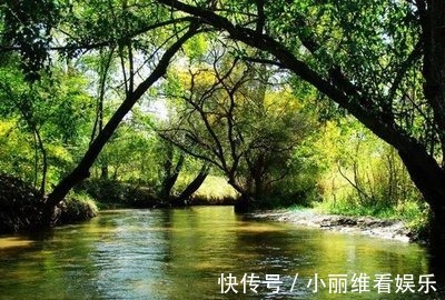 景色|内蒙一景区走红，被称为“天然氧吧”，距市区2小时车程