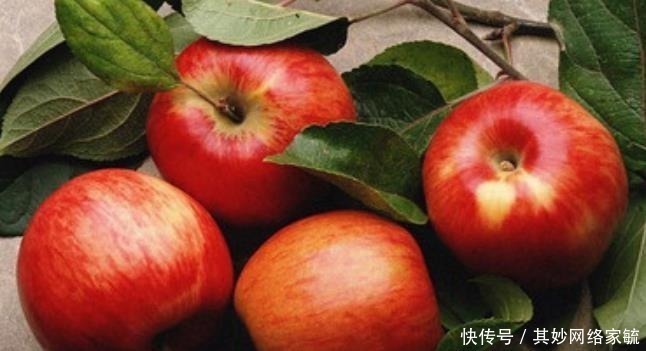 饱腹感|减肥期间,选对这些饱腹感强的主食,不锻炼也能瘦下来