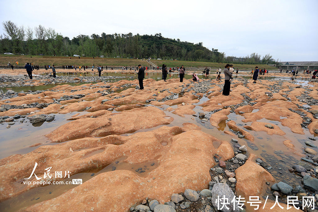 河南|河南嵩县伊河段现“丹霞地貌”雏形岩石