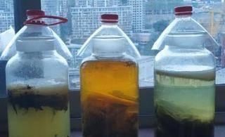 黄豆水养花太臭了试试把“它”埋土里,效果比黄豆水强多了