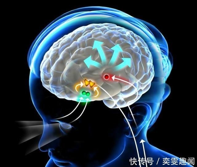 喝水越多,尿越多,肾脏的压力会变大吗?多喝水会伤到肾脏吗?