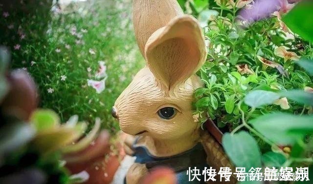 7㎡迷你“阳台造园”小阳台这样布置,也能美成的花园!