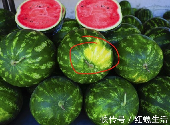 西瓜|西瓜甜不甜，内行人都看这里，一挑一个准，瓜农的方法简单又实用