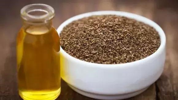 裙带菜|三种习惯致高血脂,四种食物降血脂,五种习惯克高血脂