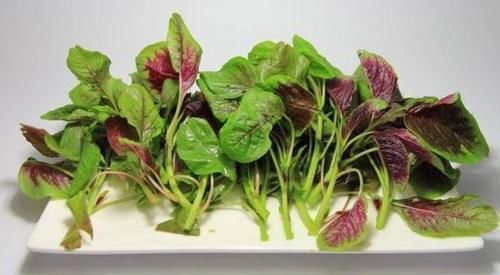 增强体质|女性到了中年,常吃3种食物,疏通血管,延缓衰老,增强体质