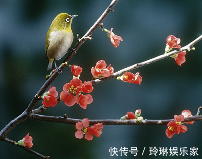 安逸|惹不起的三大生肖，2019年人在家中坐，财从天上来，一年安逸